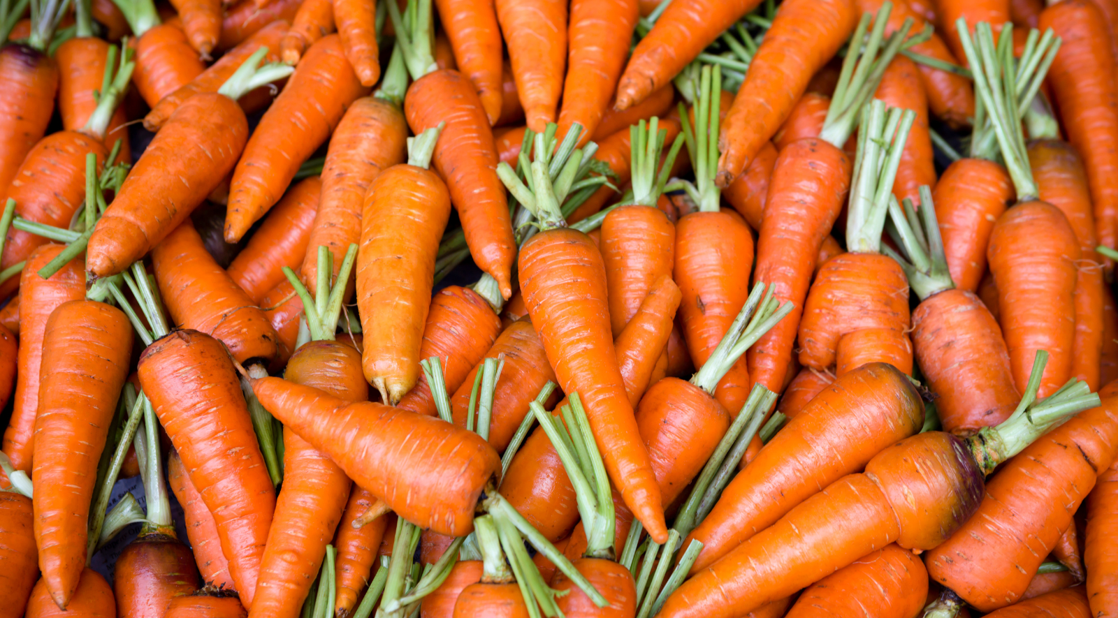 Why Vitamin A is Crucial for Your Health: Benefits and Sources