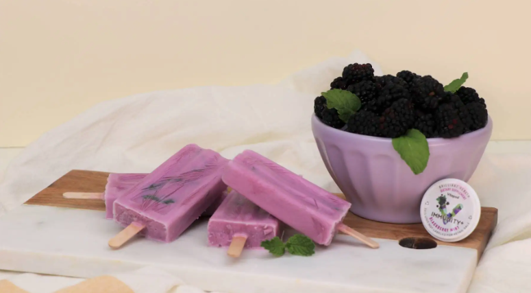 Immunity+ Blackberry Mint Popsicles