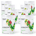 Apple Pear [Out of Stock - ETA Week of Aug 11] / 8 Packs